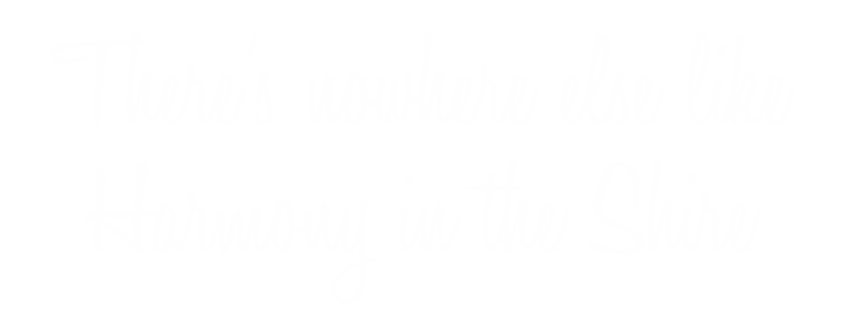 Seek Joy Heading Nowhere else