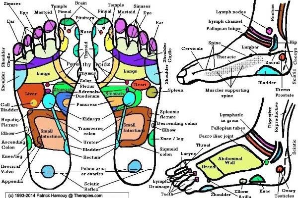 reflexology-chart-small-copy